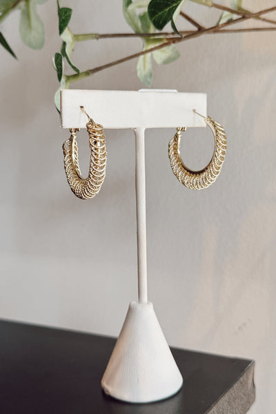 maxwell-james-jeans-gold-hoop-earrings-disc-hoops-accessories-jewelry